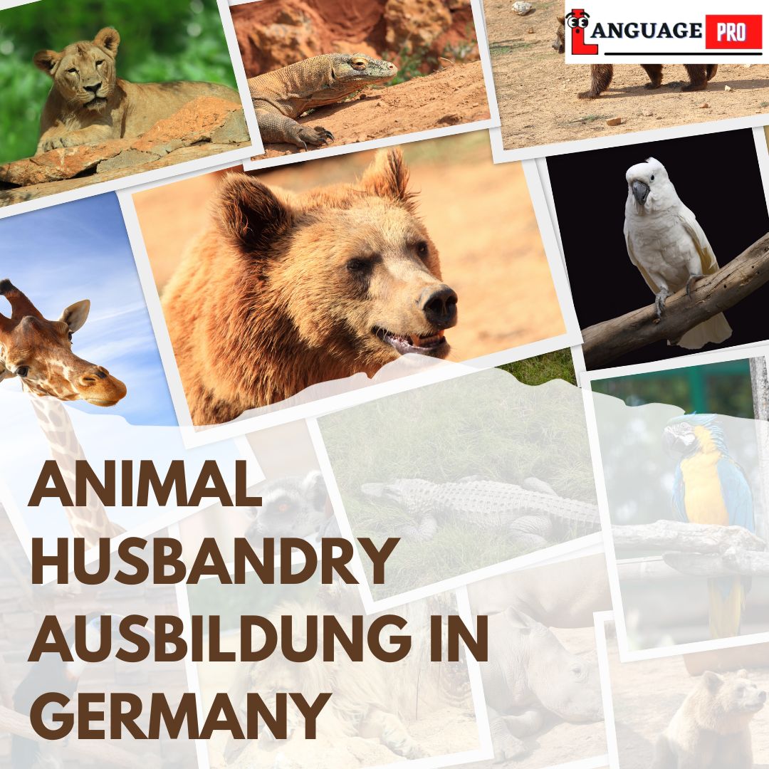 You are currently viewing Animal husbandry Ausbildung in Germany: All you need to know